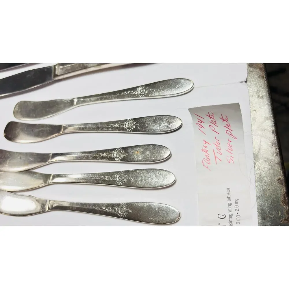 Vintage Oneida Tudor Fantasy 1941 Silverplate Flatware Set 48 Pcs Art Deco